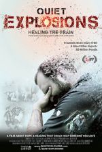 Watch Quiet Explosions: Healing the Brain M4ufreemovies