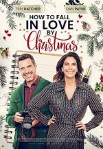 Watch How to Fall in Love by Christmas M4ufreemovies