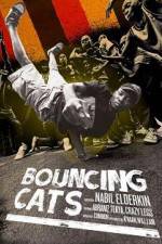 Watch Bouncing Cats M4ufreemovies