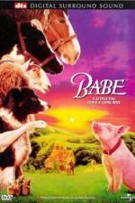 Watch Babe M4ufreemovies