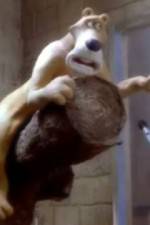 Watch Creature Comforts M4ufreemovies