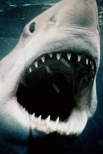 Watch Sharkmania: The Top 15 Biggest Baddest Bloodiest Bites M4ufreemovies