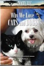 Watch Why We Love Cats And Dogs M4ufreemovies