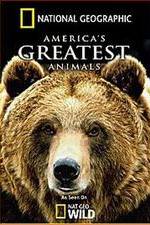 Watch America's Greatest Animals M4ufreemovies