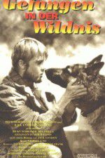 Watch Call of the Wild M4ufreemovies