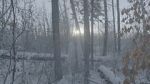 Watch Once There Was a Winter M4ufreemovies