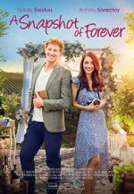 Watch A Snapshot of Forever M4ufreemovies