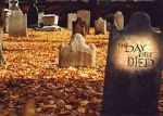 Watch The Day They Died M4ufreemovies