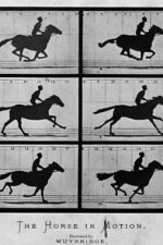 Watch Sallie Gardner at a Gallop M4ufreemovies