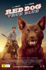 Watch Red Dog True Blue M4ufreemovies