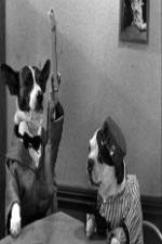 Watch The Two Barks Brothers M4ufreemovies