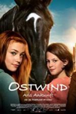 Watch Windstorm 4: Ari\'s Arrival M4ufreemovies