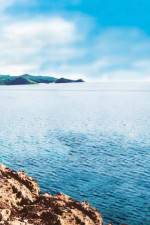 Watch Intent M4ufreemovies