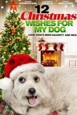 Watch 12 Christmas Wishes For My Dog M4ufreemovies