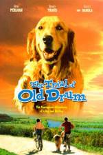 Watch The Trial of Old Drum M4ufreemovies