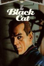 Watch The Black Cat M4ufreemovies