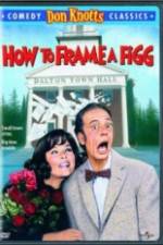 Watch How to Frame a Figg M4ufreemovies