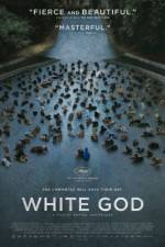 Watch Fehér isten M4ufreemovies