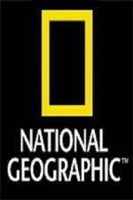 Watch National Geographic: Wild Nights - Miami M4ufreemovies