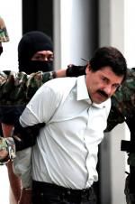 Watch The Rise and Fall of El Chapo M4ufreemovies