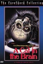 Watch Un gatto nel cervello M4ufreemovies