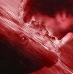 Watch We All Poop: All the Blood M4ufreemovies