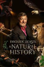 Watch Fantastic Beasts: A Natural History M4ufreemovies