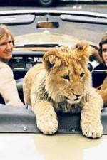 Watch The Lion Cub from Harrods M4ufreemovies