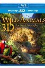 Watch Wild Animals - The Life of the Jungle 3D M4ufreemovies