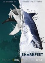 Watch Man vs. Shark M4ufreemovies