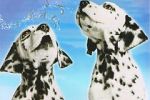 Watch 101 Dalmatians Sing Along M4ufreemovies