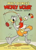 Watch Donald\'s Ostrich (Short 1937) M4ufreemovies
