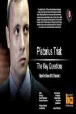 Watch Pistorius Trial: The Key Questions M4ufreemovies