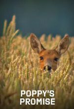 Poppy\'s Promise: Secret Life in a Cornfield