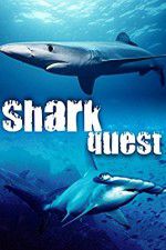 Watch Shark Quest M4ufreemovies