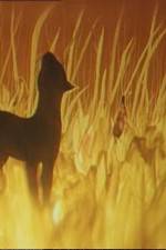 Watch The Cat Who Walked by Herself M4ufreemovies