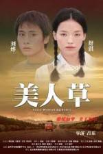 Watch The Foliage M4ufreemovies