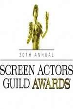 Watch The 20th Annual Screen Actors Guild Awards M4ufreemovies