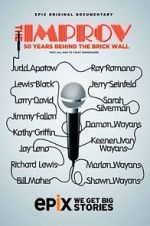 Watch The Improv: 50 Years Behind the Brick Wall (TV Special 2013) M4ufreemovies