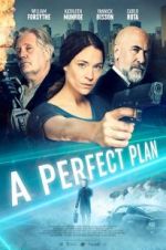 Watch A Perfect Plan M4ufreemovies