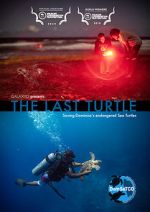 Watch The Last Turtle (Short 2019) M4ufreemovies
