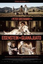 Watch Eisenstein in Guanajuato M4ufreemovies