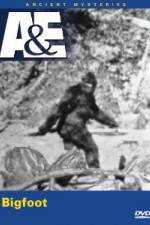 Watch A&E Ancient Mysteries - Bigfoot M4ufreemovies