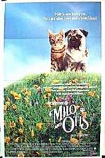 Watch Milo & Otis M4ufreemovies