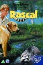 Watch Rascal M4ufreemovies