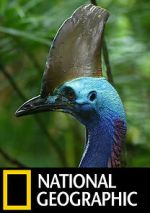 Watch Dino Bird M4ufreemovies