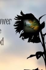 Watch The Sunflower and the Sun God M4ufreemovies