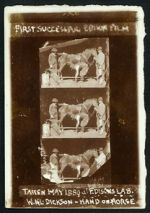 Watch Horse Shoeing M4ufreemovies