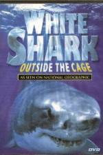 Watch National Geographic white shark:outside the cage M4ufreemovies