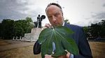Watch Fig Leaf: The Biggest Cover-Up in History M4ufreemovies